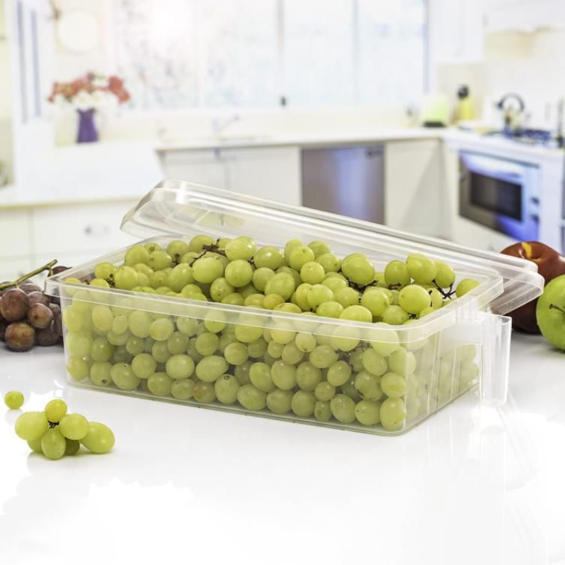BOITE RANGEMENT PLASTIQUE TRANSPARENT AVEC POIGNEES 4 LITRES
