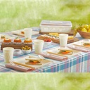 SET PIC NIC 32 PIECES ROSE/BEIGE