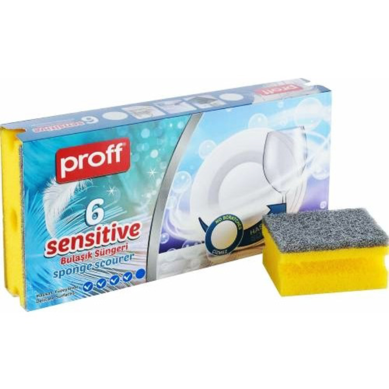 SET 6 EPONGES 9X7X4 CM 