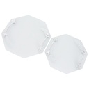 SET 2 PIECES PLATEAUX OCTOGONAL VERRE AVEC POIGNEE ARGENT MODELE TRANSPARENT