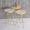 SET 4 TABLES : 3 X DIAMETRES 33 CM + TABLE 90X50X43 CM 