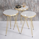 SET 4 TABLES : 3 X DIAMETRES 33 CM + TABLE 90X50X43 CM 