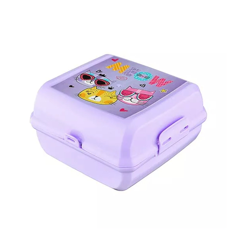 BOITE A DEJEUNER AVEC CUILLERE + FOURCHETTE DESIGNS MIX