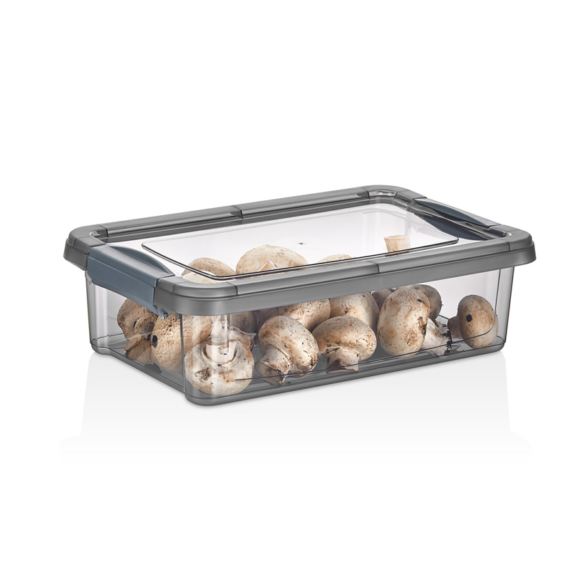 BOITE ALIMENTAIRE EN PLASTIQUE 3 LITRES COULEUR MAT