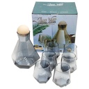 Set Bouteille avec support bois + 6 verres