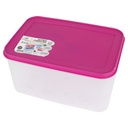 BOITE CONGELATION 3.15 LITRES MIX VERT/VIOLET