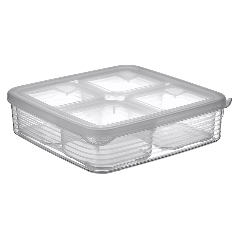 Set 5 boîtes conservations (1 x 1,6 Litres + 4 x 0,25 Litre)