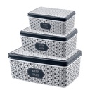SET 3 BOITES RANGEMENTS 2.1 L / 3.5 L / 5.5 L