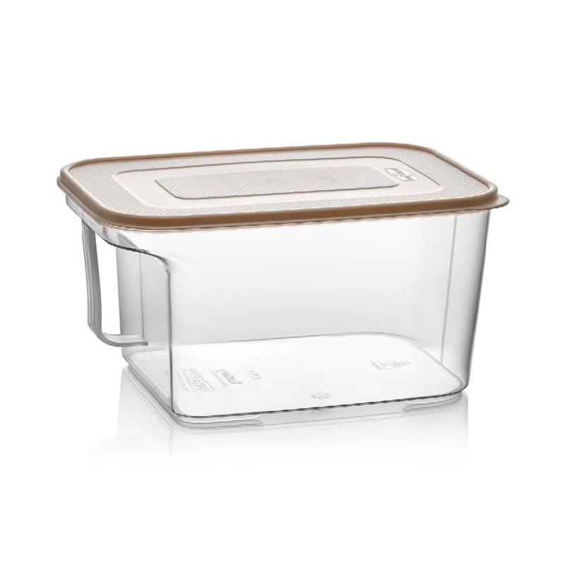 BOITE RANGEMENT ALIMENTAIRE PLASTIQUE COULEUR TRANSPARENT 2.6 LITRES