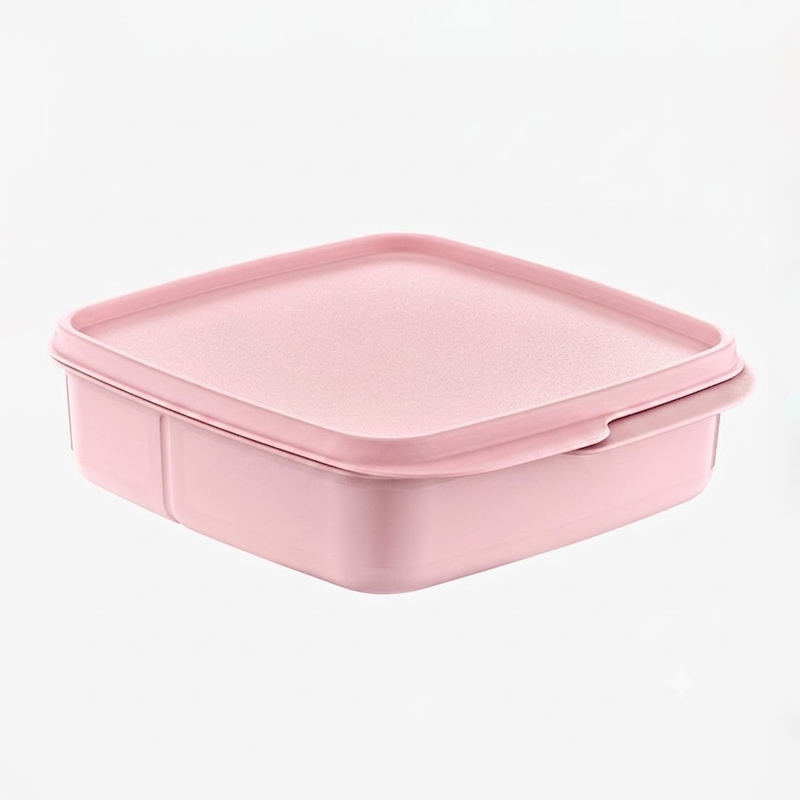 BOITE ALIMENTAIRE 2 COMPARTIMENTS 800 ML MIX BLEU / ROSE