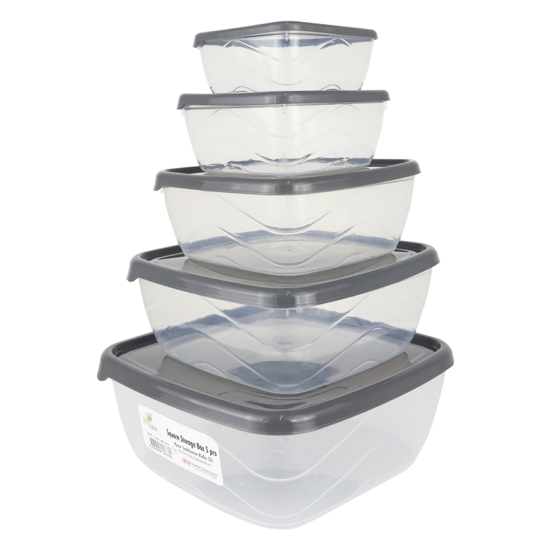 SET 5 BOITES PLASTIQUE(250ML-500ML-900ML-1500ML-2500ML) GRIS