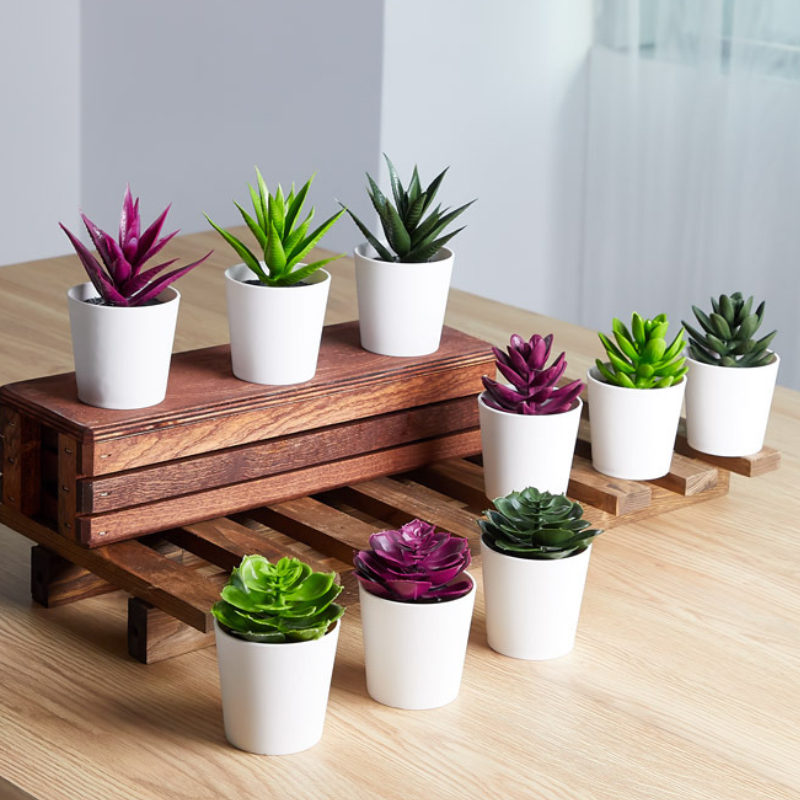POT FLEUR DECO 12X5 CM MIX VERT/VIOLET/VERT