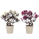 POT FLEUR DECO 18X6 CM MIX ROSE/VIOLET/BLANC/BLEU