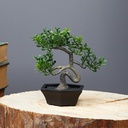 POT FLEUR DECO 12X8 CM BLANC