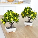 POT FLEUR DECO 26X10X6 CM CITRONS