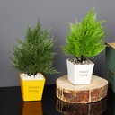 POT FLEUR DECO 30X10 CM MIX BLANC/ORANGE/NOIR