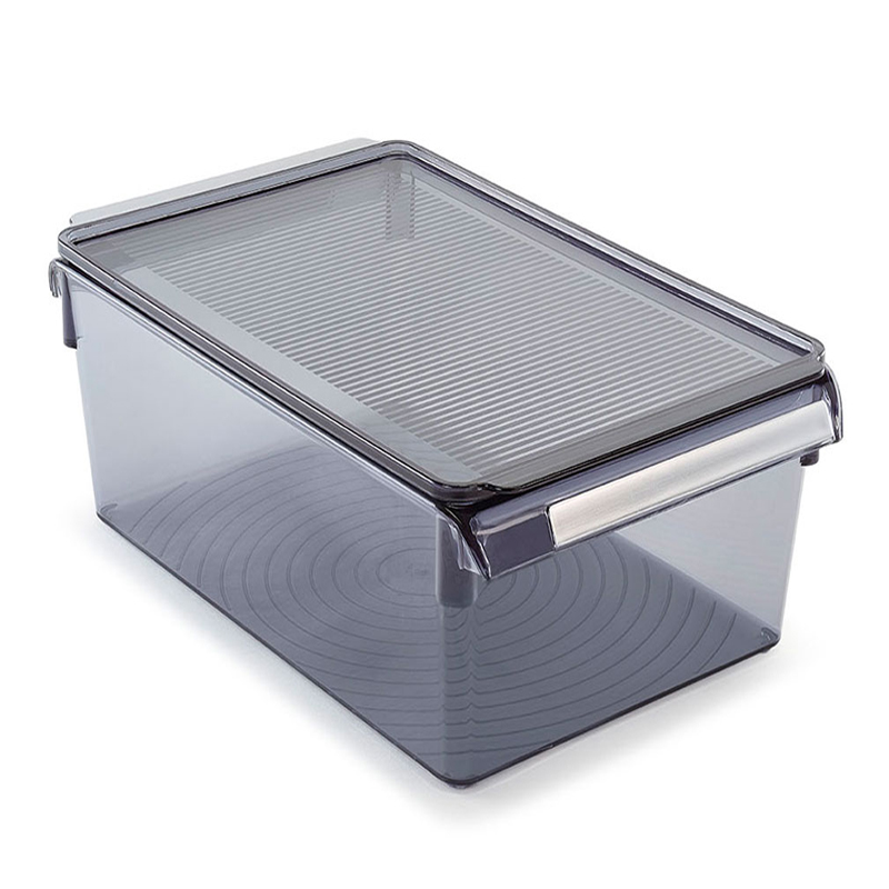 RANGEMENT REFREGIRATEUR AVEC COUVERCLE COULEUR MAT 31X18X15 CM 