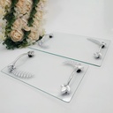 SET 2 PLATEAUX DECO RECTANGULAIRE VERRE TRANSPARENT ET POIGNEE ARGENT MODELE FEUILLE 34-23 CM X 27-17 CM