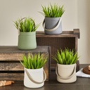 POT DECO PLANTE 18X10 CM MIX VIOLET/ROSE/VERT/BLANC
