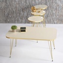 SET 4 TABLES BEIGE : 3 X DIAMETRES 33 CM + TABLE 90X50X43 CM PIEDS METAL