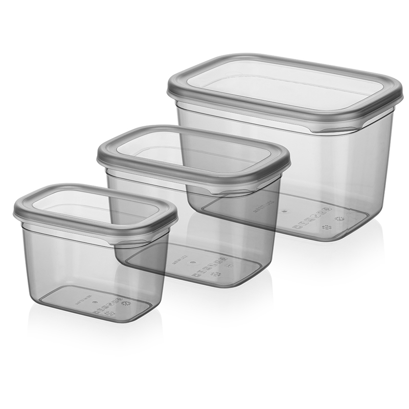 SET 3 BOITES CONSERVATION ALIMENTAIRE 800ML/1300ML/2300ML PLASTIQUE COULEUR MAT