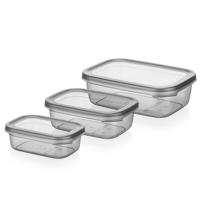 SET 3 BOITES CONSERVATION ALIMENTAIRE 400ML/670ML/1200 ML PLASTIQUE COULEUR MAT