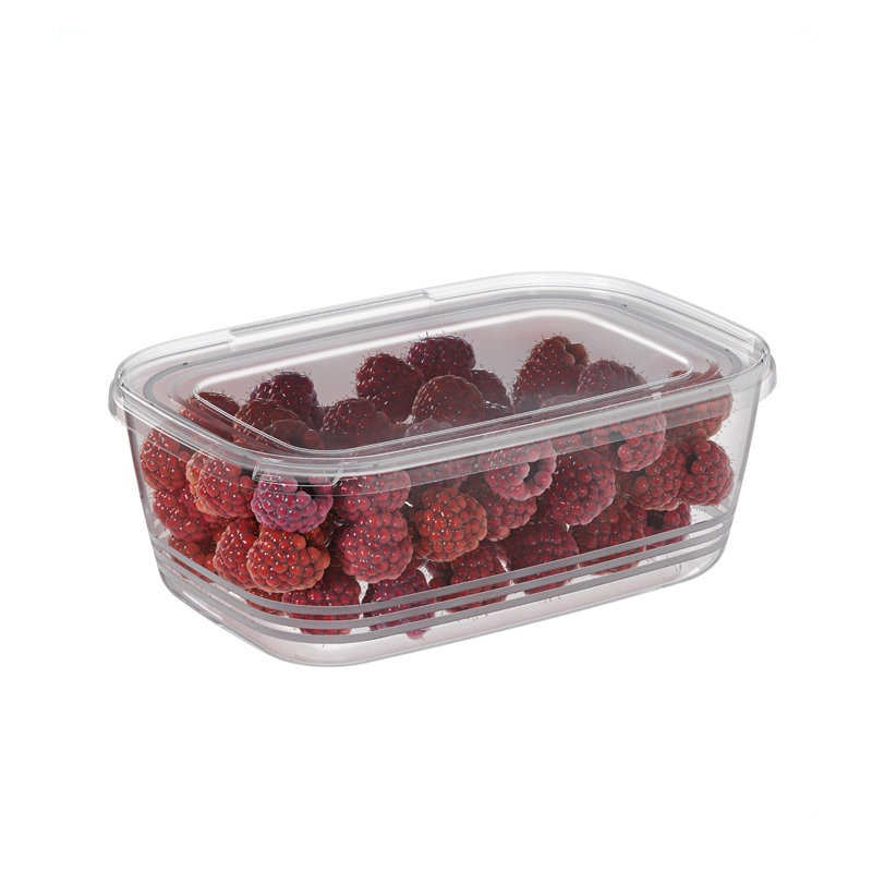 BOITE ALIMENTAIRE 1 LITRE