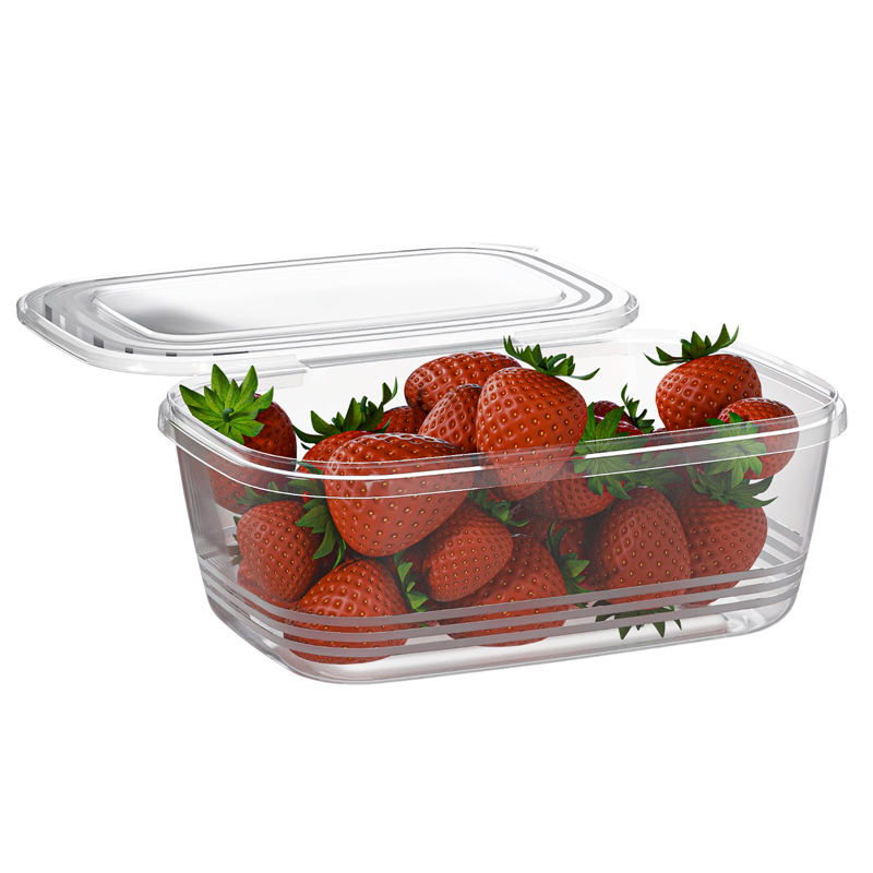 BOITE ALIMENTAIRE 2 LITRES