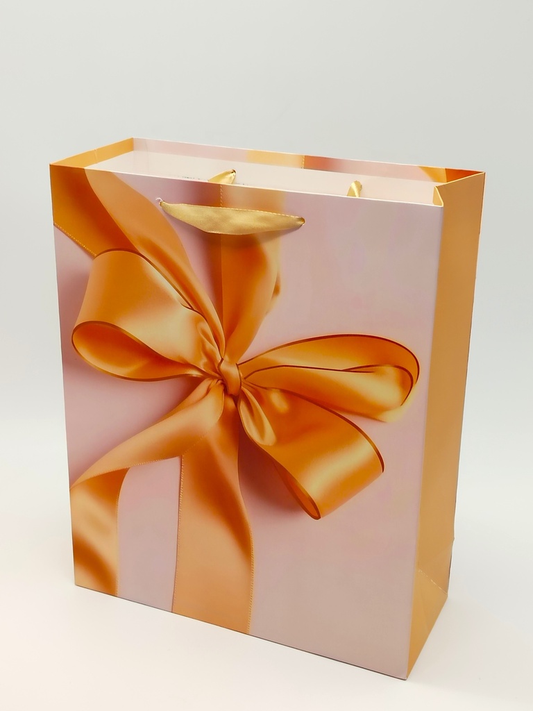 Sac Cadeau 32 x 26 x 10