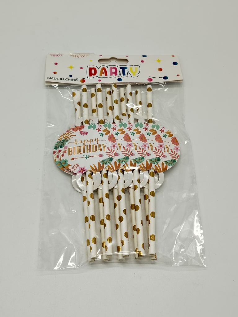 Set 10 pailles en papier