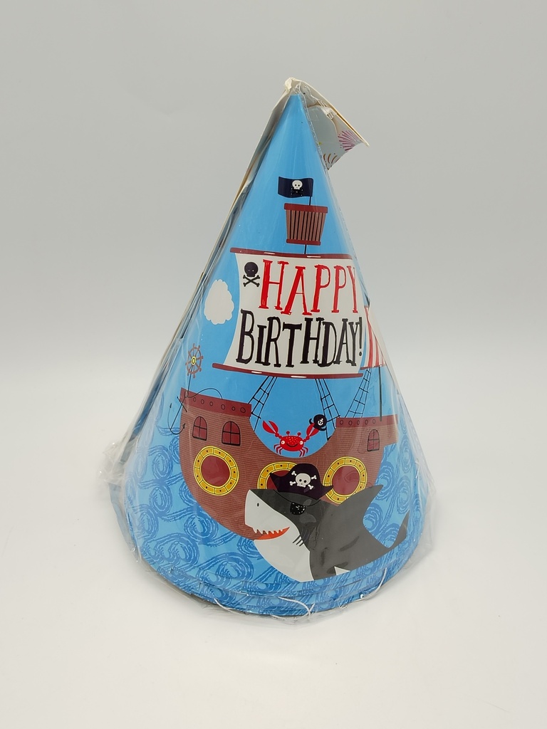 Set 10 chapeaux d'anniversaire