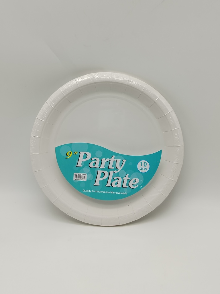 10 assiettes jetables 23CM