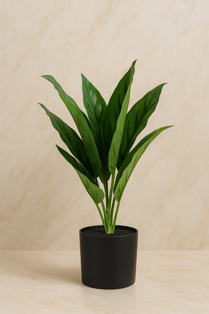 Plante déco 10x36 cm