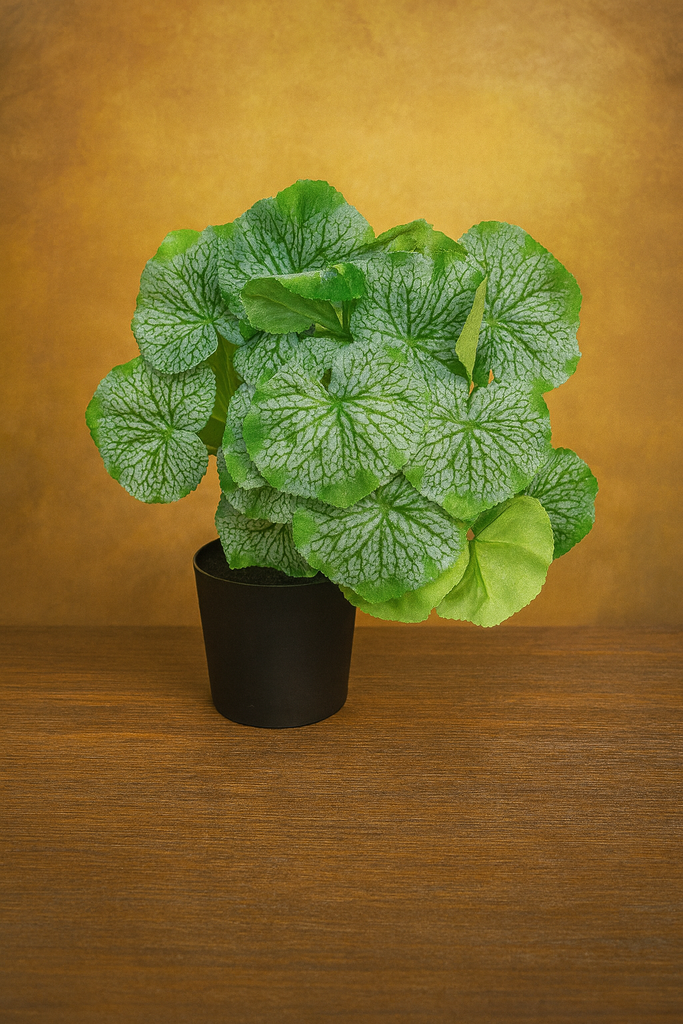 Plante déco 10x28 cm