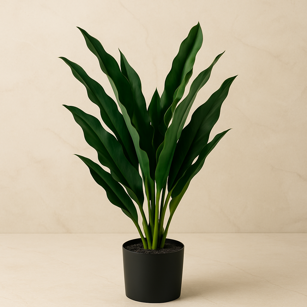 Plante déco 10x40 cm