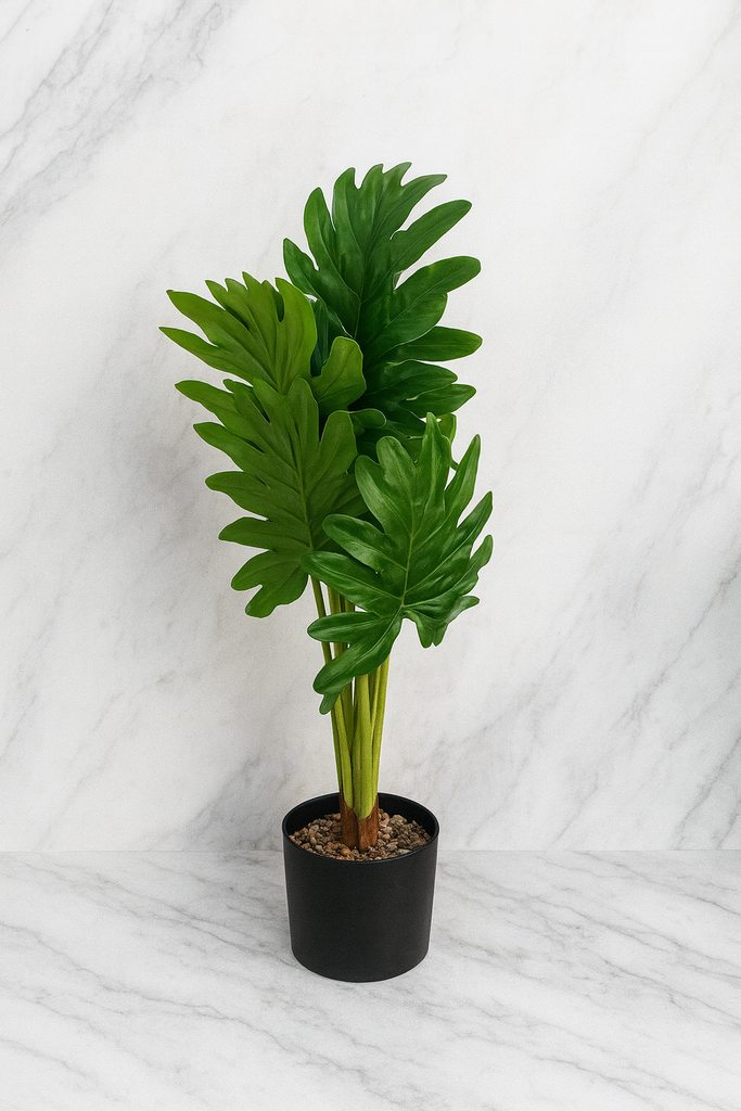 Plante déco 10x64 cm