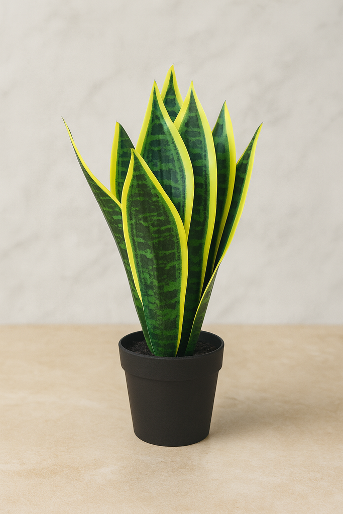Plante déco 10x38 cm
