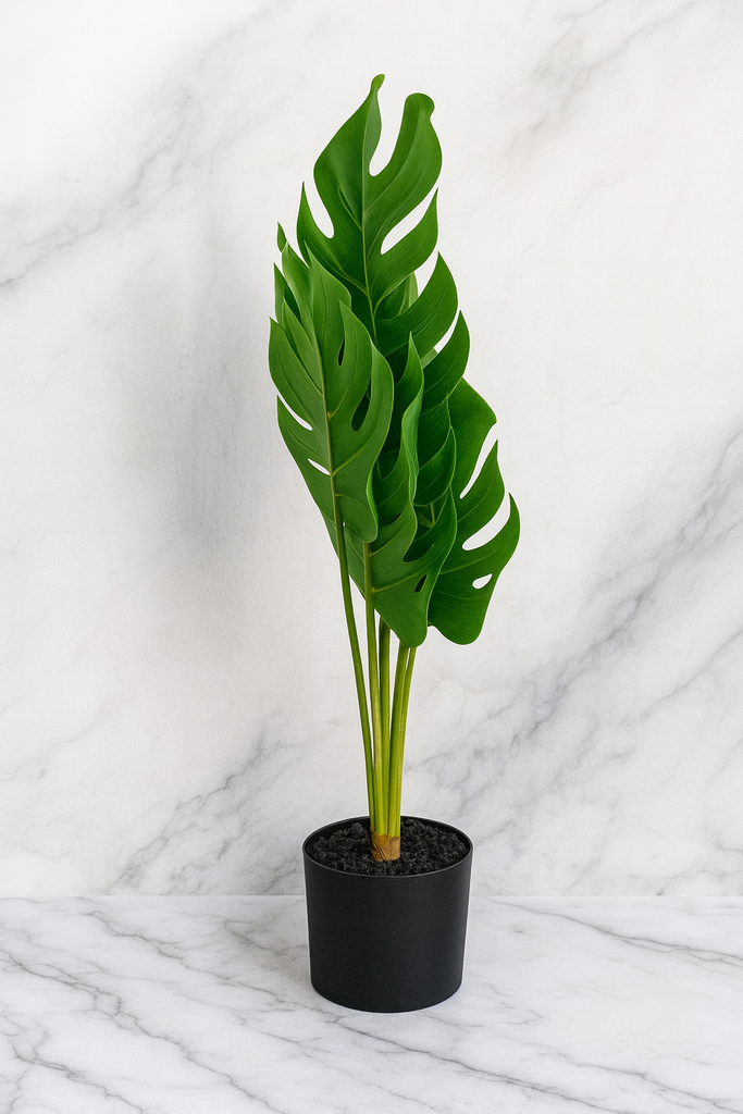 Plante déco 13x68 cm