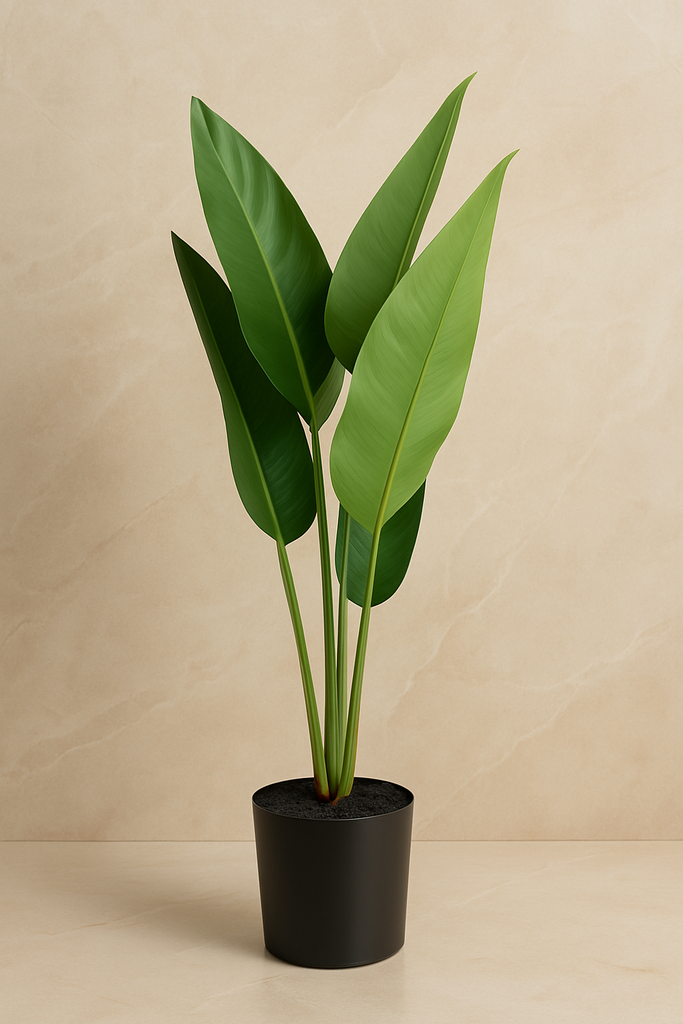 Plante déco 13x75 cm