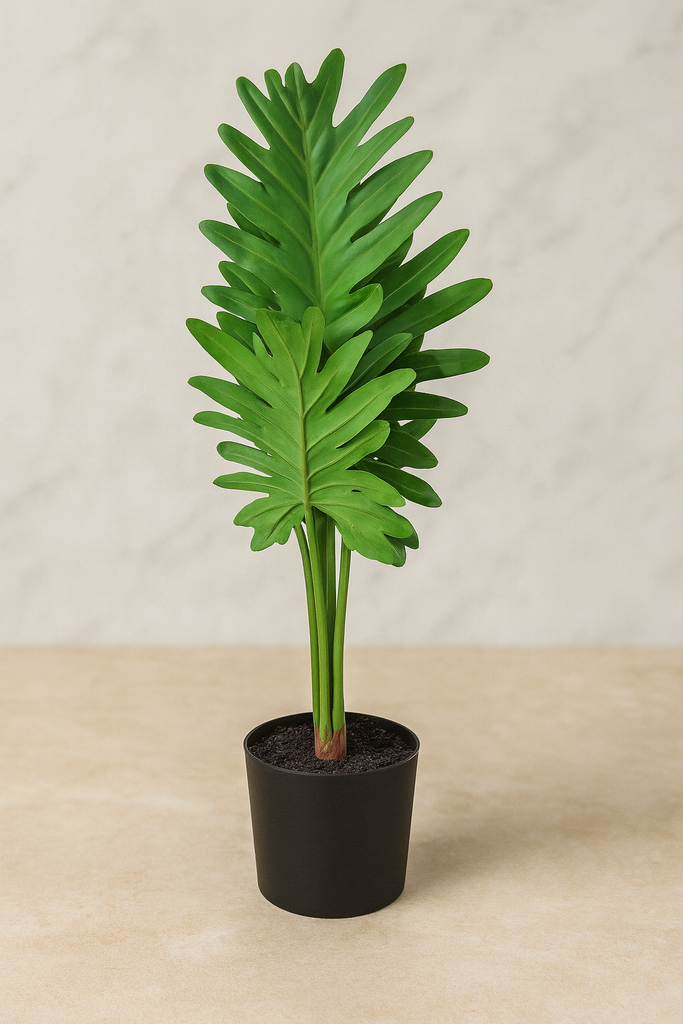 Plante déco 13x64 cm