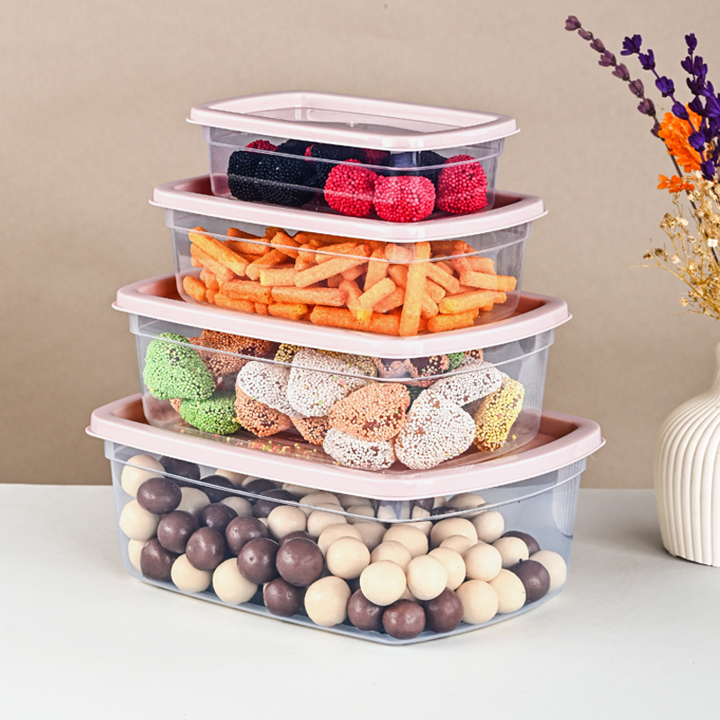 SET 4 BOITES ALIMENTAIRES 250  / 500 / 750 / 1250 ML 