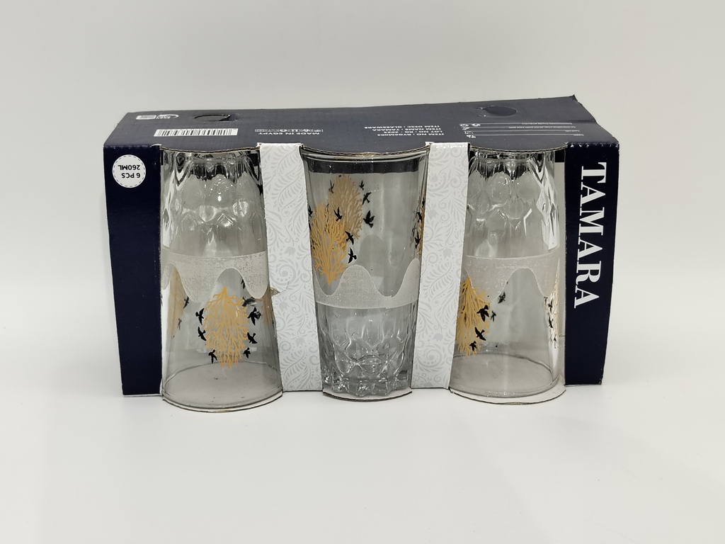 SET 6 VERRES 260 ML