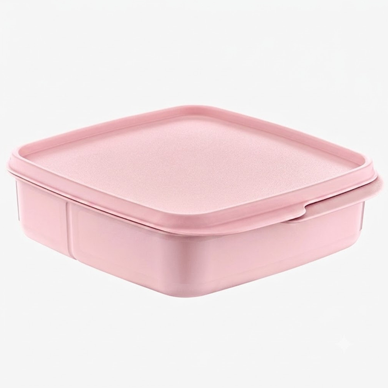 BOITE ALIMENTAIRE 2 COMPARTIMENTS 1100 ML MIX BLEU / ROSE